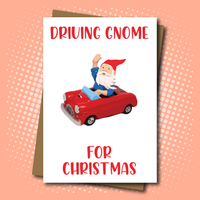 Driving Gnome for Christmas Card
